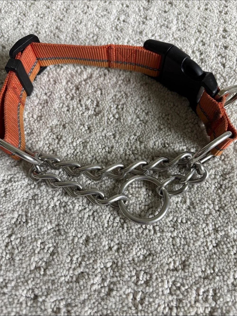 Orange Martingale Dog Collar with Chain